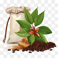 ���ȶ���-���ȶ�-������