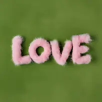 ��-�������ɵķۺ�ɫ�ɰ�-������