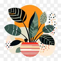 室内植物鉴赏日-橙色-空若网 室内植物鉴赏日-橙色-空若网