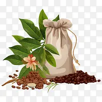 咖啡豆-咖啡豆-空若网 咖啡豆-咖啡豆-空若网