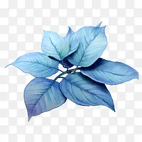 蓝叶-蓝叶叶水彩植物绿色-空若网 蓝叶-蓝叶叶水彩植物绿色-空若网