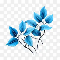 蓝色的叶子-蓝色的叶子蓝色的叶子树枝植物性质-空若网 蓝色的叶子-蓝色的叶子蓝色的叶子树枝植物性质-空若网