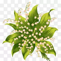 花芽百合-空若网 花芽百合-空若网