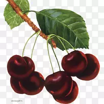 nalewkaӣ�ҹ�����������-������