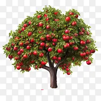 ����ƻ����-����-������