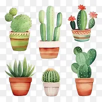 仙人掌-仙人掌-空若网 仙人掌-仙人掌-空若网