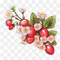 草莓——健康食品-空若网 草莓——健康食品-空若网