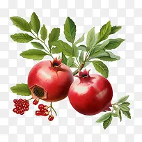 ʯ��-ʯ������ʯ���ʵ��ɫˮ��ʯ�����Ƥ-������