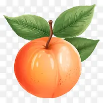 ��ɫˮ������Ȼ�����д���Ҷ�����ʳ�ɫˮ��-������