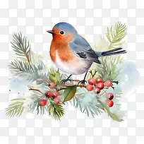 水彩画-好奇知更鸟在树枝上的水彩画-空若网 水彩画-好奇知更鸟在树枝上的水彩画-空若网