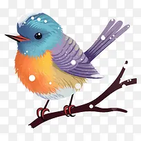 小鸟—色彩缤纷的鸟栖息在白雪覆盖的树枝上-空若网 小鸟—色彩缤纷的鸟栖息在白雪覆盖的树枝上-空若网