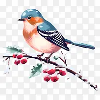鸟-鸟在雪树枝上与红色浆果-空若网 鸟-鸟在雪树枝上与红色浆果-空若网