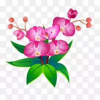 紫花苜蓿花紫花苜蓿植物-空若网 紫花苜蓿花紫花苜蓿植物-空若网