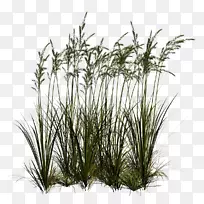 喷漆店专业插入式剪贴画.草-空若网 喷漆店专业插入式剪贴画.草-空若网