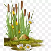 «ÎÉãÓ°¼ôÌù».²Ý-¿ÕÈôÍø «ÎÉãÓ°¼ôÌù».²Ý-¿ÕÈôÍø