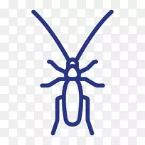 蟑螂昆虫动物电脑图标蟑螂-空若网 蟑螂昆虫动物电脑图标蟑螂-空若网