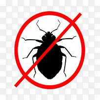 昆虫床虫软件虫害夹艺术.蟑螂-空若网 昆虫床虫软件虫害夹艺术.蟑螂-空若网