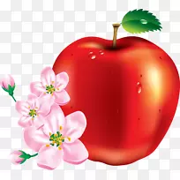 苹果下载剪贴画-苹果-空若网 苹果下载剪贴画-苹果-空若网