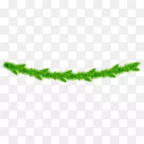 草本植物茎线花冠-空若网 草本植物茎线花冠-空若网