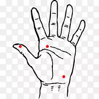 手夹艺术-手-空若网 手夹艺术-手-空若网