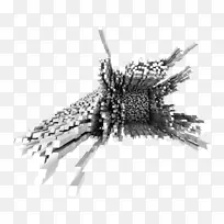 黑白摄影白蝗-空若网 黑白摄影白蝗-空若网