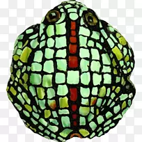 生物插图剪贴画-青蛙-空若网 生物插图剪贴画-青蛙-空若网