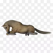 �������Ӿ�����.��ͷ����-������