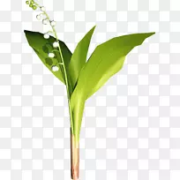 Ò¶Ñ¿¼ôÌù»-²Ý-¿ÕÈôÍø Ò¶Ñ¿¼ôÌù»-²Ý-¿ÕÈôÍø