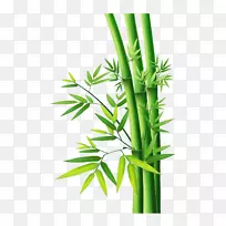 ����-������