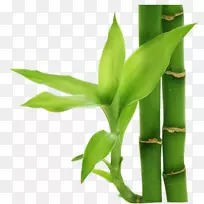 ����-����-������