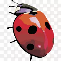 �ߵ�ư��-ý��׳棬����ư��-������