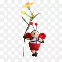 瓢虫-花肥甲虫-空若网 瓢虫-花肥甲虫-空若网