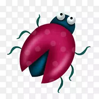 甲虫动画剪贴画-美丽甲虫-空若网 甲虫动画剪贴画-美丽甲虫-空若网