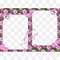 �����-������͸��PNG-������