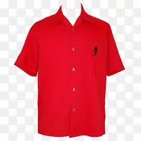 ������t�����³���-������