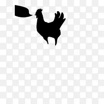 ���Ի��ȼ�����-��-������