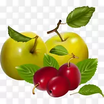 ˮ��ʳƷӣ���߲�-������