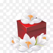 博客礼品夹艺术-橱柜-空若网 博客礼品夹艺术-橱柜-空若网