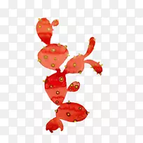 草莓开花植物-仙人掌-空若网 草莓开花植物-仙人掌-空若网