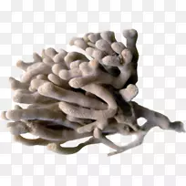 ɺ�����ؼ�������-��-������