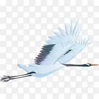 ��׼�����.������-������