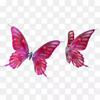 ������Ӱ-������