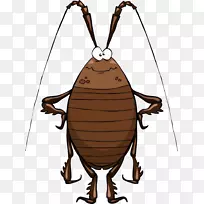 蟑螂卡通片插画艺术.蟑螂-空若网 蟑螂卡通片插画艺术.蟑螂-空若网