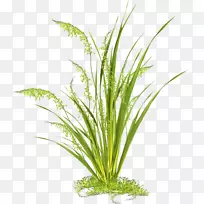 ��դͼ��ֲ������ݼ�����-������