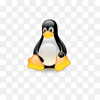 linux发行操作系统计算机软件薄荷-空若网 linux发行操作系统计算机软件薄荷-空若网