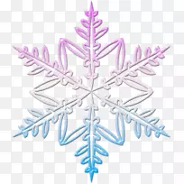 雪花对称叶型-雪花-空若网 雪花对称叶型-雪花-空若网