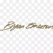 音乐家布莱恩·爱默生演出-丹尼尔·布赖恩-空若网 音乐家布莱恩·爱默生演出-丹尼尔·布赖恩-空若网