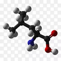 氨基酸分子蛋白丙氨酸-3D-空若网 氨基酸分子蛋白丙氨酸-3D-空若网