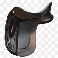 英国马鞍舞步马术-大象-空若网 英国马鞍舞步马术-大象-空若网