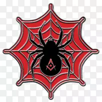 ������ŷ����������Ů����-������